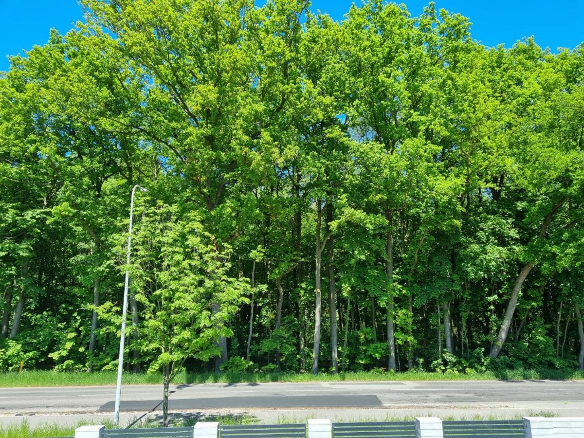 M&K Apartament Baltyk - Sobieszewo - Wyspa Sobieszewska Гданськ Екстер'єр фото